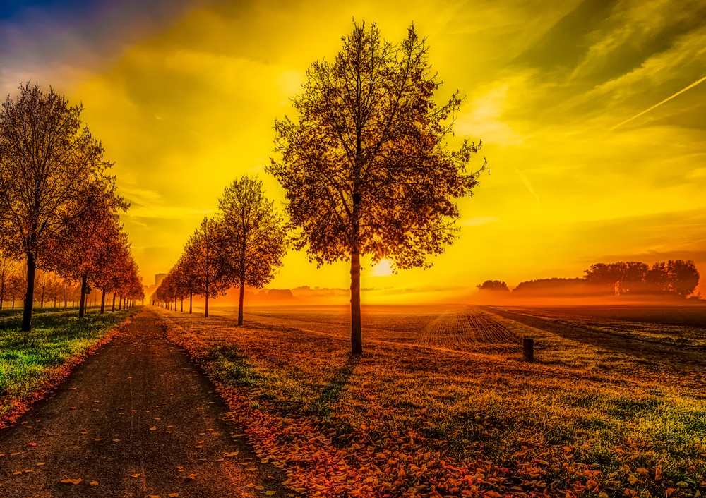 Realism Art A Visual Guide